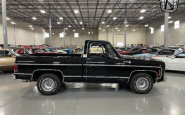 Chevrolet-Silverado-1500-Pickup-1979-5