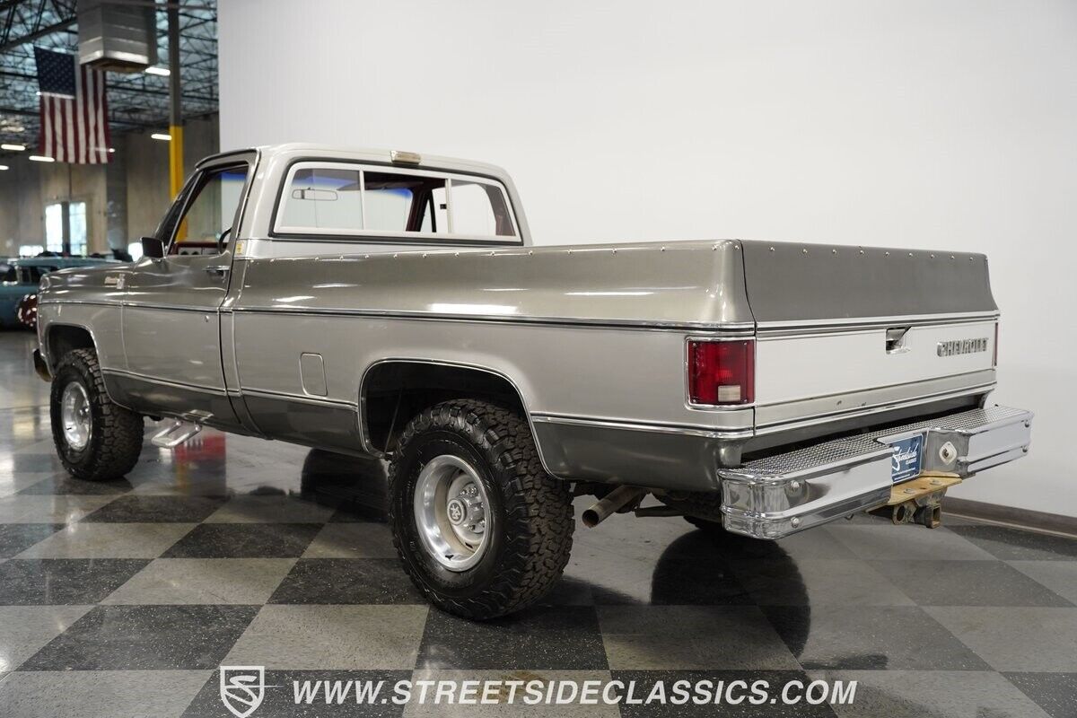 Chevrolet-Silverado-1500-Pickup-1979-7