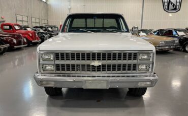 Chevrolet-Silverado-1500-Pickup-1981-2