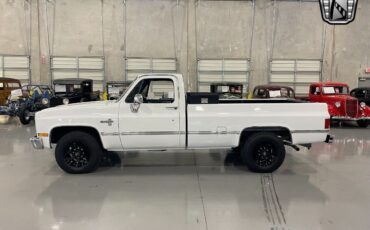 Chevrolet-Silverado-1500-Pickup-1981-3