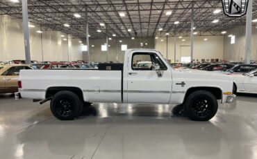 Chevrolet-Silverado-1500-Pickup-1981-5