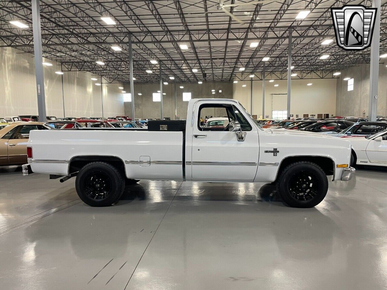 Chevrolet-Silverado-1500-Pickup-1981-5