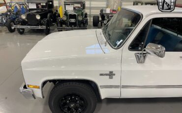 Chevrolet-Silverado-1500-Pickup-1981-6