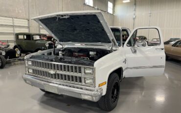 Chevrolet-Silverado-1500-Pickup-1981-8