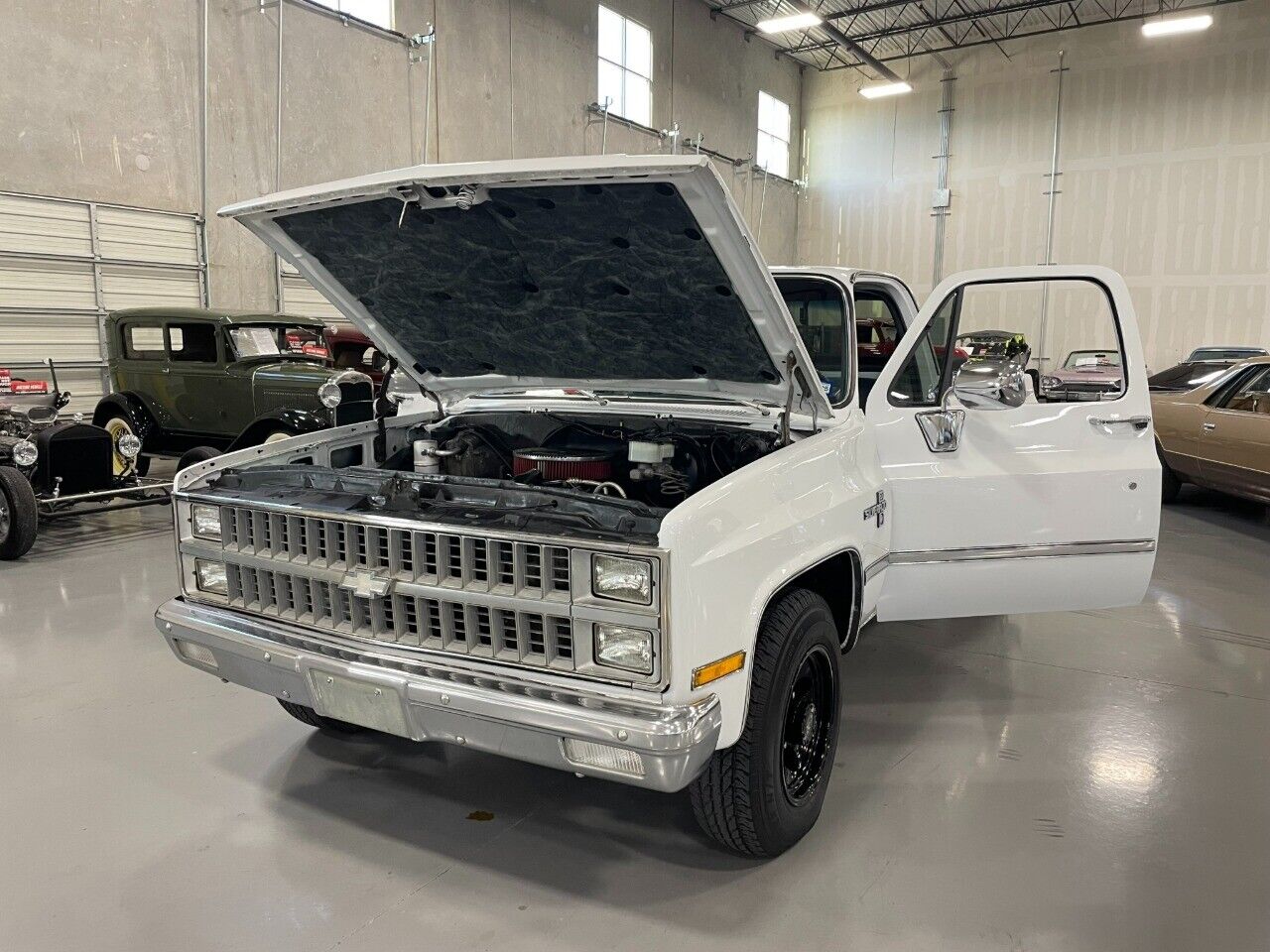 Chevrolet-Silverado-1500-Pickup-1981-8