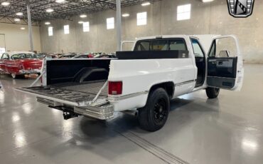 Chevrolet-Silverado-1500-Pickup-1981-9