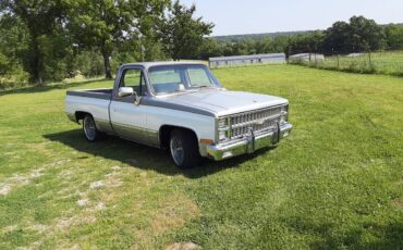 Chevrolet-Silverado-1981-1