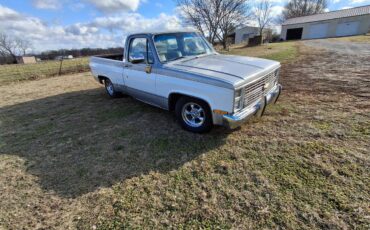 Chevrolet-Silverado-1981