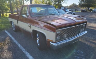 Chevrolet-Silverado-1983-6