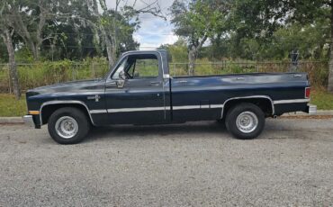 Chevrolet-Silverado-C10-1987-3