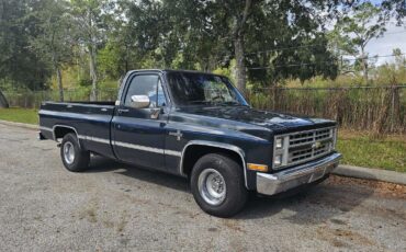 Chevrolet-Silverado-C10-1987-5