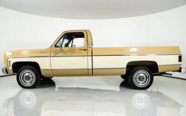 Chevrolet-Silverado-Cabriolet-1976-6