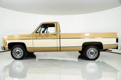 Chevrolet-Silverado-Cabriolet-1976-6