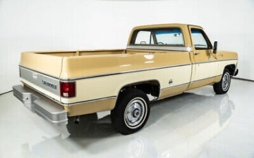 Chevrolet-Silverado-Cabriolet-1976-9