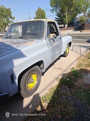 Chevrolet-Stepside-Pickup-1977-4