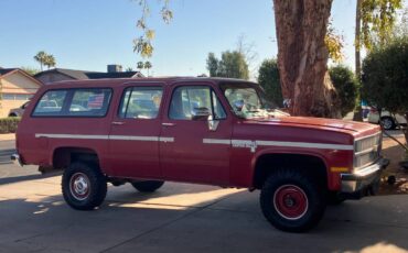 Chevrolet-Suburban-1981-20