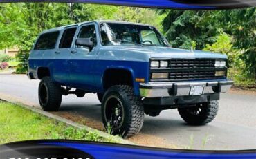 Chevrolet-Suburban-SUV-1991-4