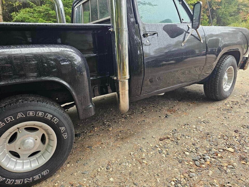 Dodge-D100-1978-10