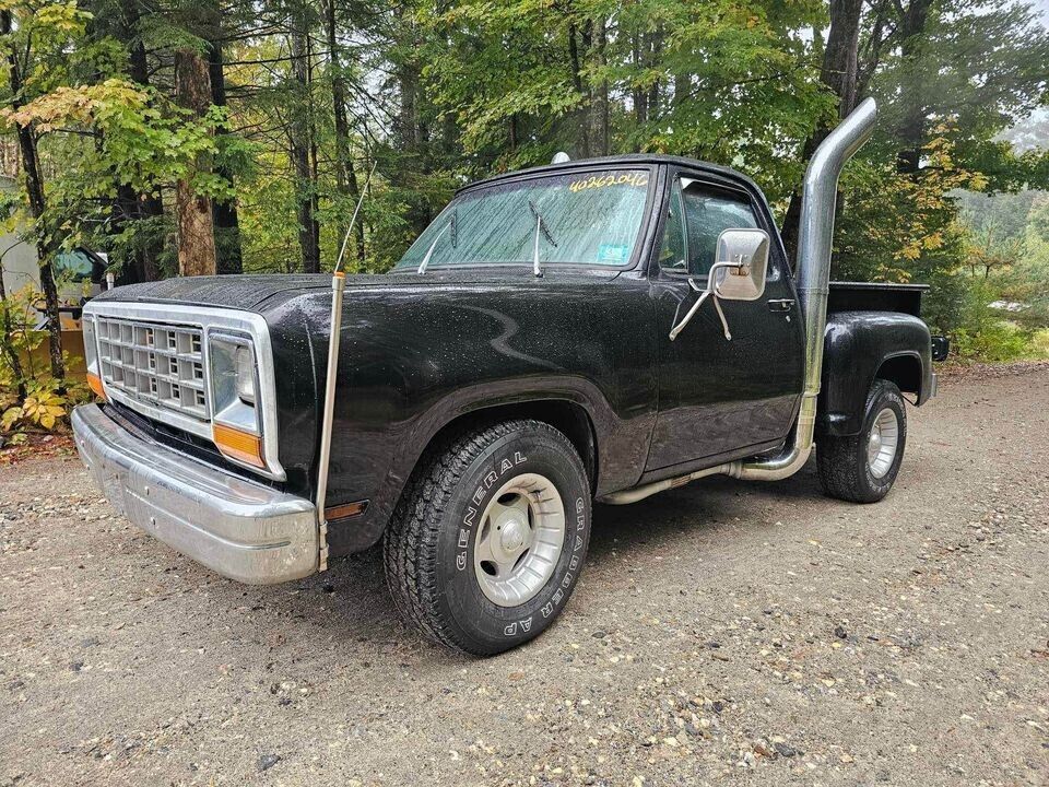 Dodge-D100-1978-13