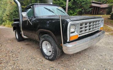 Dodge D100  1978