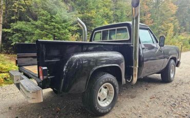 Dodge-D100-1978-4