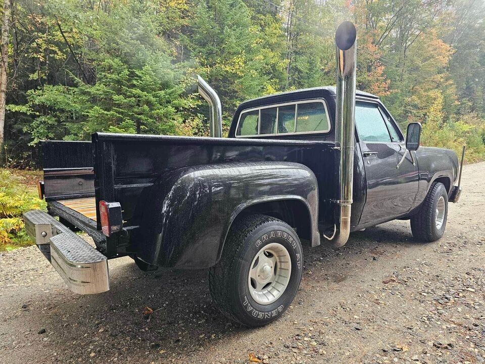 Dodge-D100-1978-4