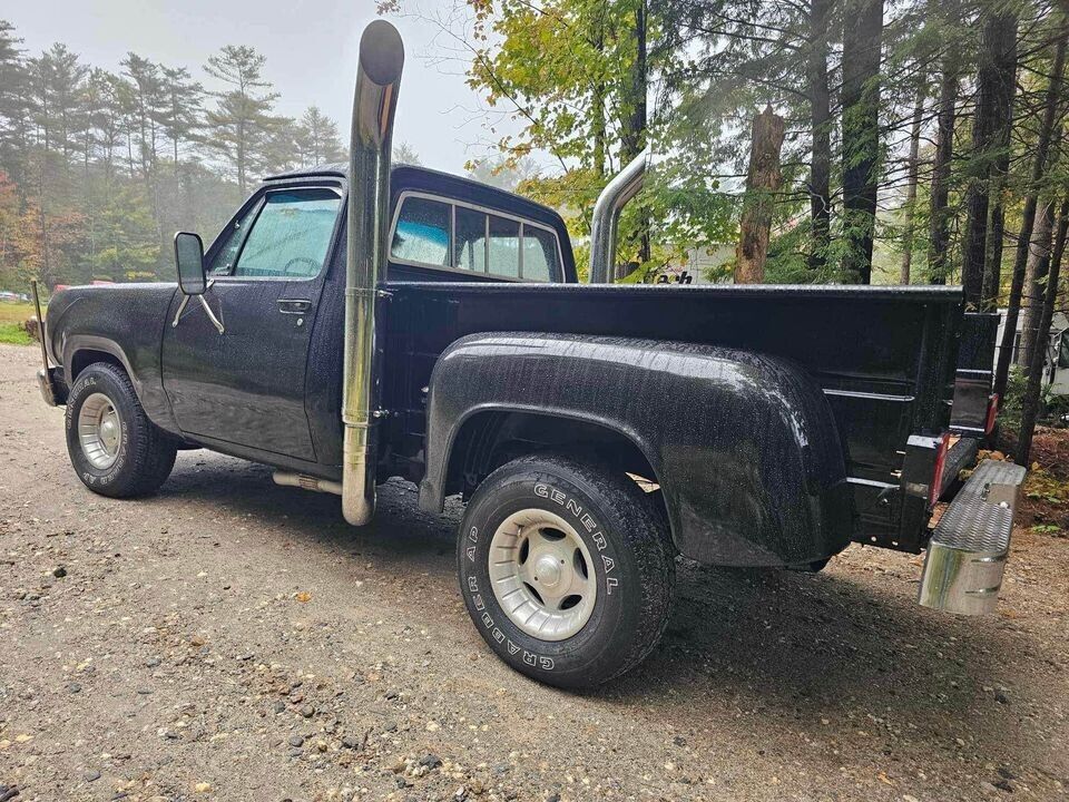 Dodge-D100-1978-5