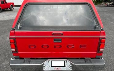 Dodge-Dakota-1994-5