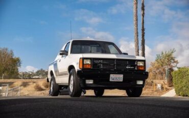 Dodge-Dakota-Pickup-1989-1