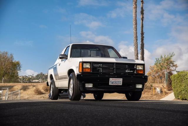 Dodge-Dakota-Pickup-1989-1