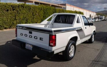 Dodge-Dakota-Pickup-1989-10