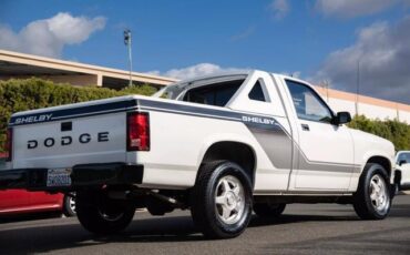 Dodge-Dakota-Pickup-1989-7