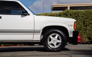 Dodge-Dakota-Pickup-1989-8