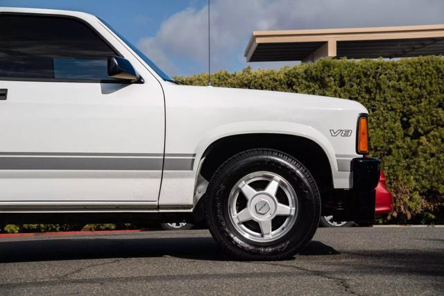 Dodge-Dakota-Pickup-1989-8