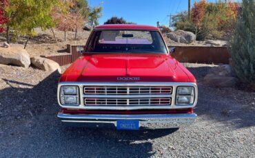 Dodge-Other-Pickups-1979-6