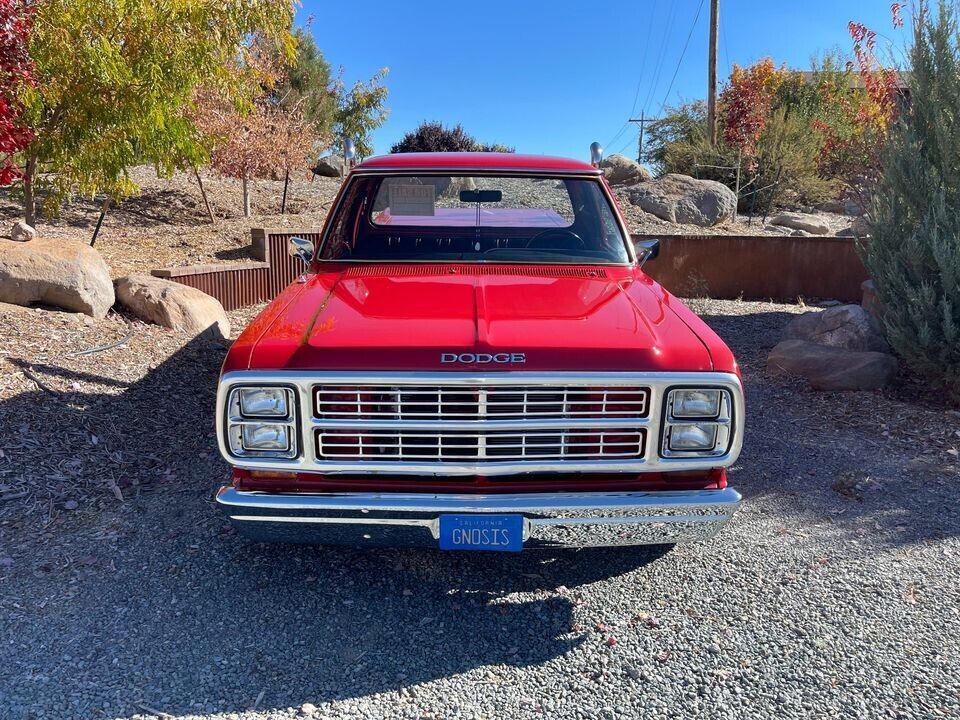 Dodge-Other-Pickups-1979-6