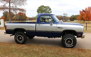 Dodge-Other-Pickups-1992-21