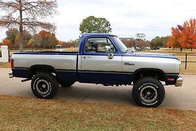 Dodge-Other-Pickups-1992-21