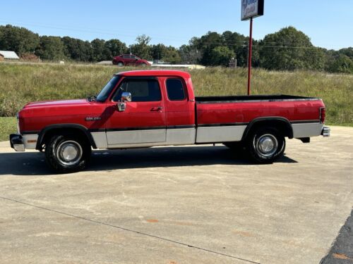 Dodge-Other-Pickups-1993-1