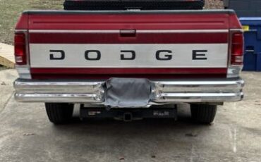 Dodge-Other-Pickups-1993-5