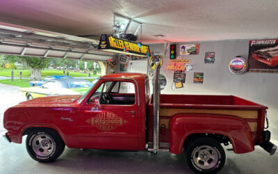 Dodge Other Pickups Pickup 1979 à vendre