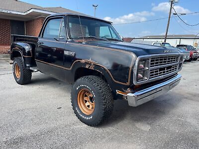 Dodge Other Pickups Pickup 1979 à vendre