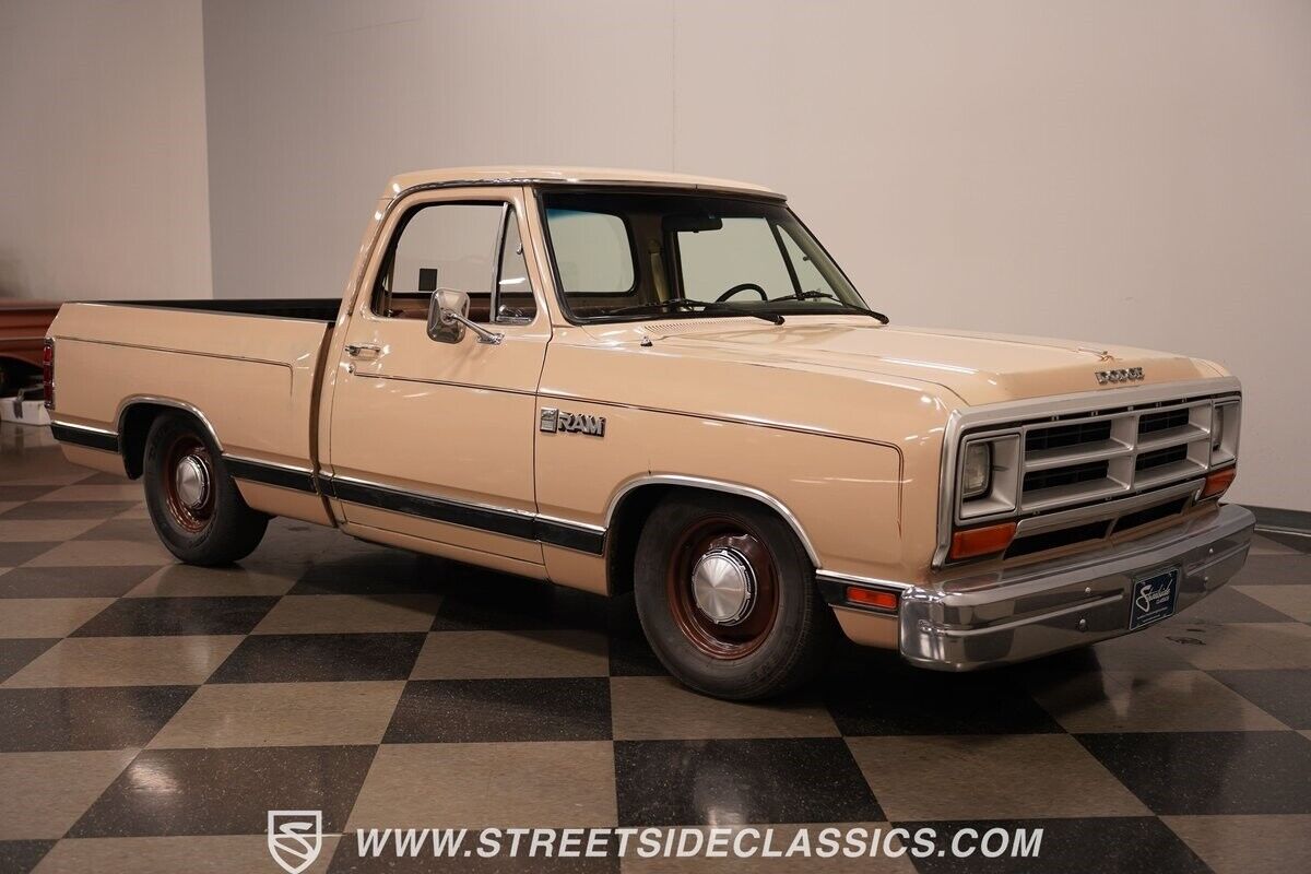 Dodge-Other-Pickups-Pickup-1984-19