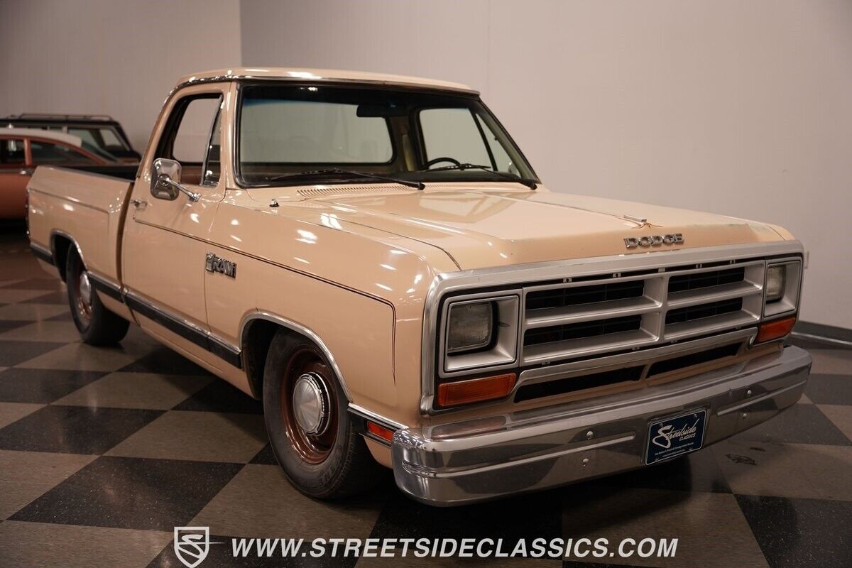 Dodge-Other-Pickups-Pickup-1984-20