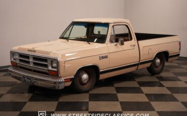 Dodge-Other-Pickups-Pickup-1984-22