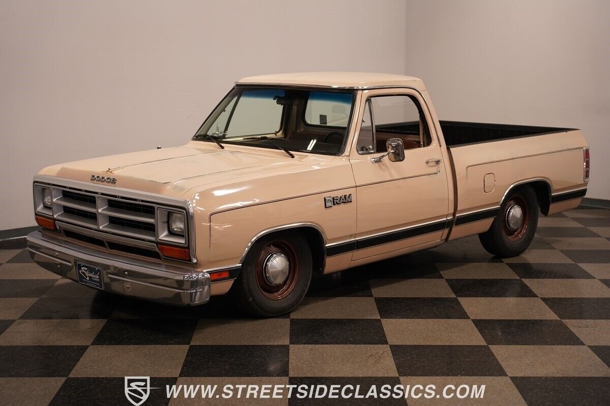 Dodge-Other-Pickups-Pickup-1984-22