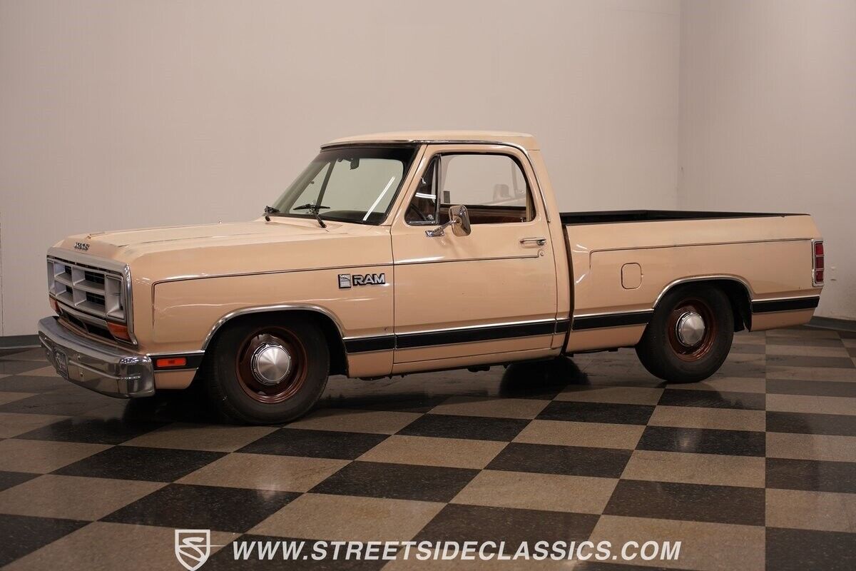 Dodge-Other-Pickups-Pickup-1984-8