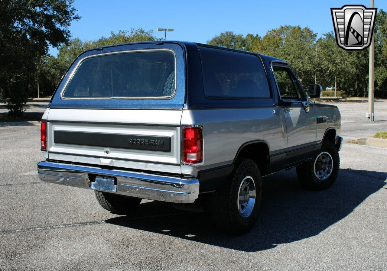 Dodge-Other-Pickups-Pickup-1988-8