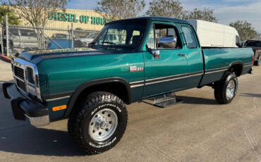 Dodge-Other-Pickups-Pickup-1993-1