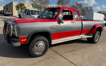 Dodge-Other-Pickups-Pickup-1993-2